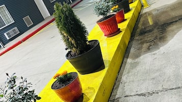 Una fila de macetas con plantas sobre una bordillo amarillo en un estacionamiento.