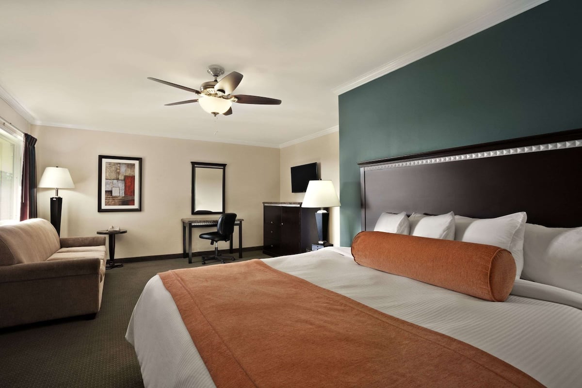 Premium bedding, in-room safe, blackout curtains, iron/ironing board