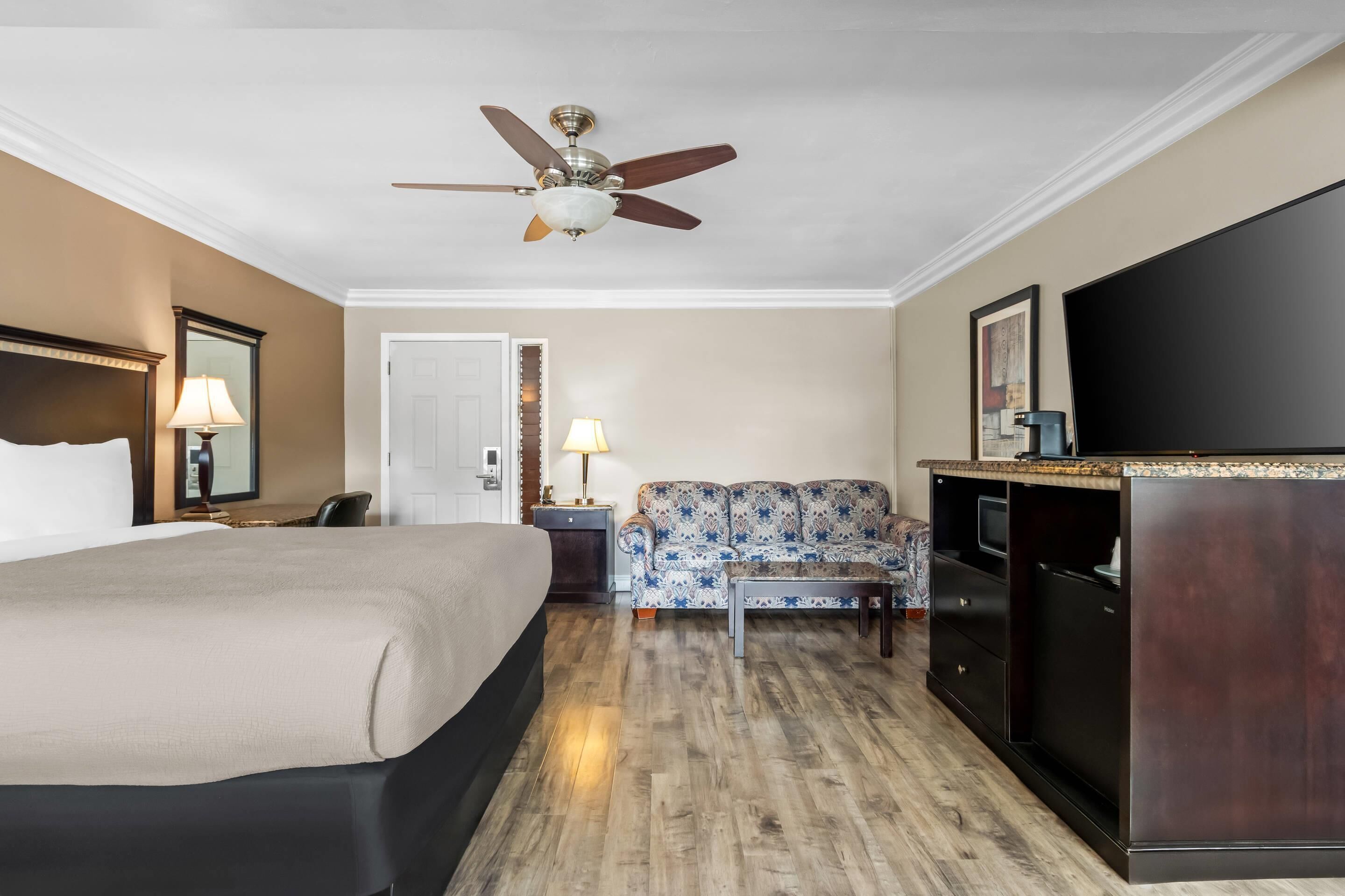 A hotel room with a bed, a sofa, a desk, a television, and a ceiling fan.