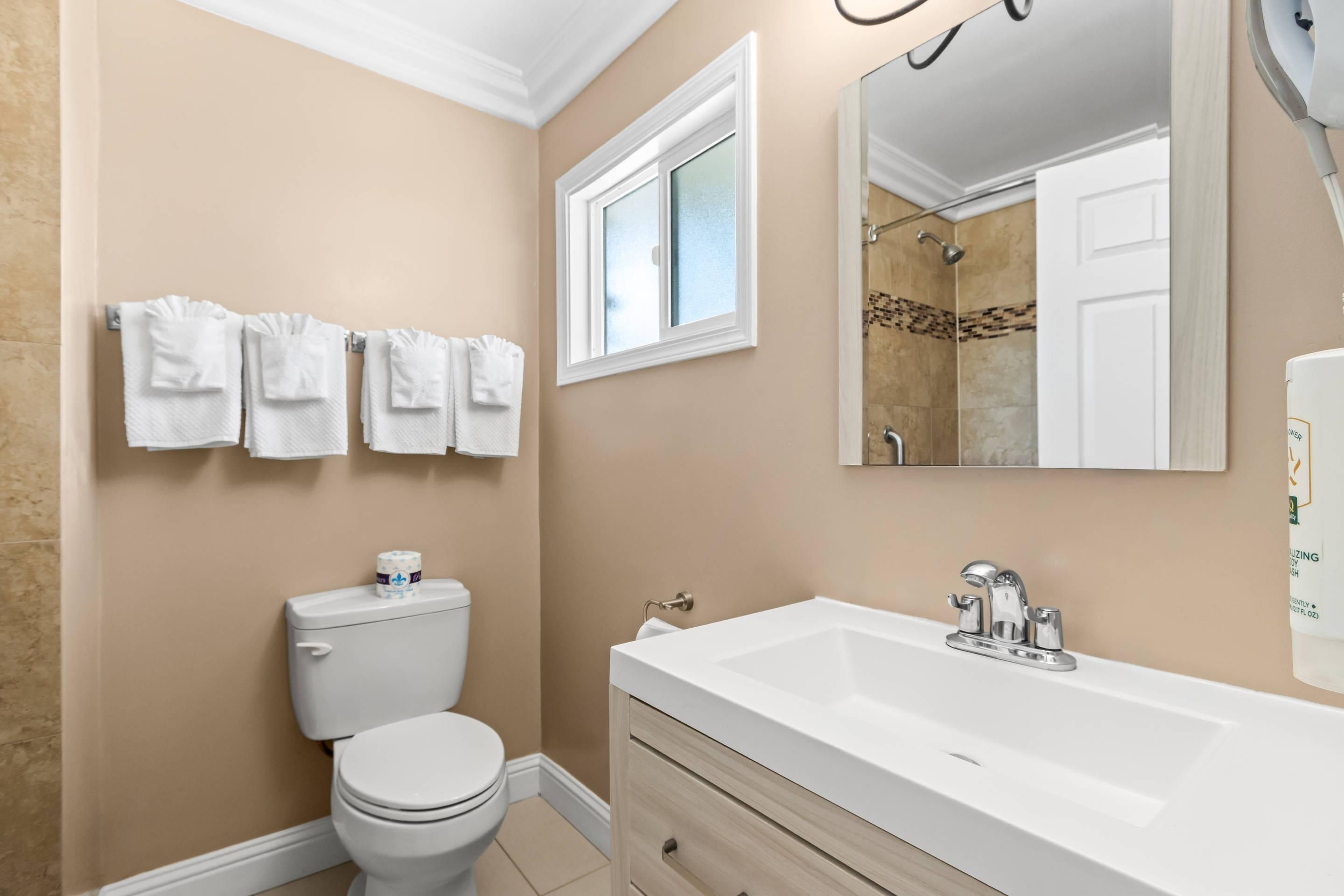 A bathroom with a toilet, a sink, and a mirror.
