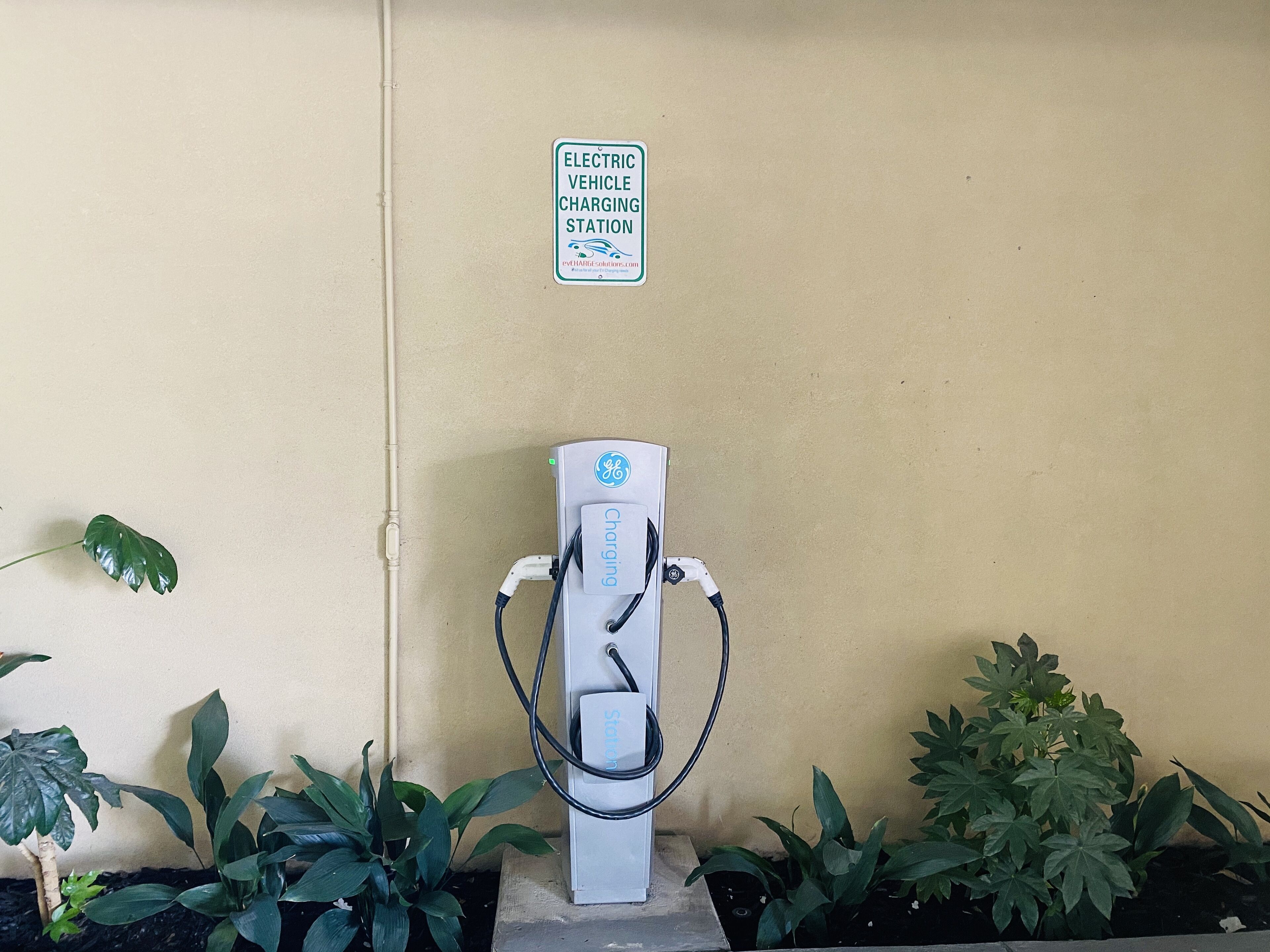 Een laadstation voor elektrische voertuigen met een GE logo, een bord erboven en potplanten eromheen.
