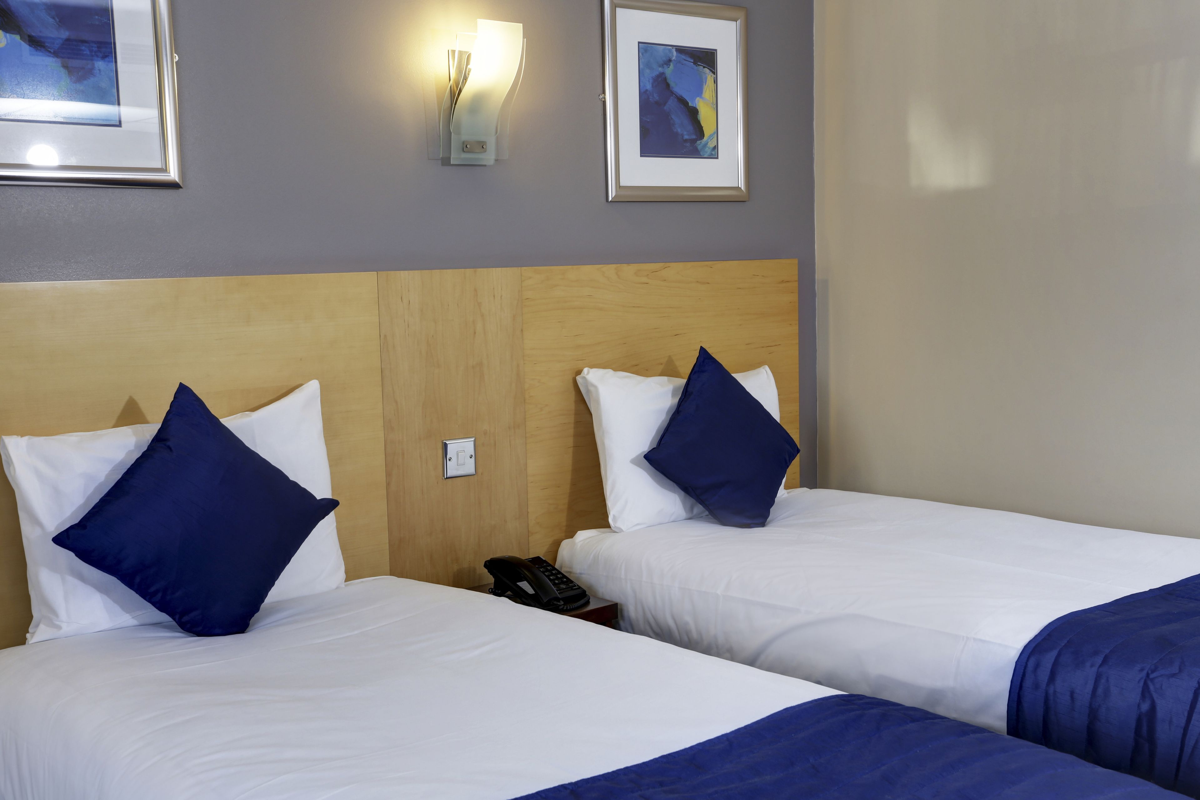 standard room, 2 single beds, non smoking | hypo-allergenic bedding, in-room safe, free cots/infant beds, free wifi