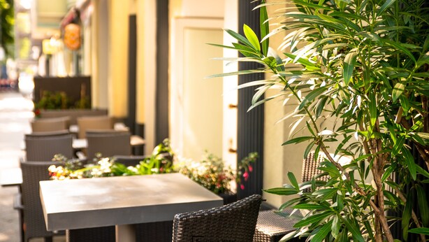 An outdoor cafe with wicker chairs and tables, a potted plant, and a door in the background. - Boutique Hotel Kerlin (Berlin)