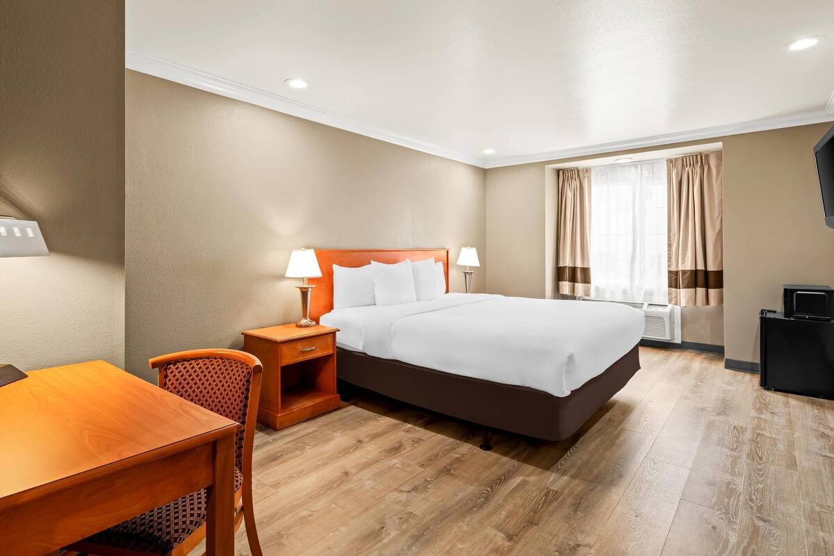 Chambre, 1 très grand lit, accessible aux personnes à mobilité réduite, non-fumeur