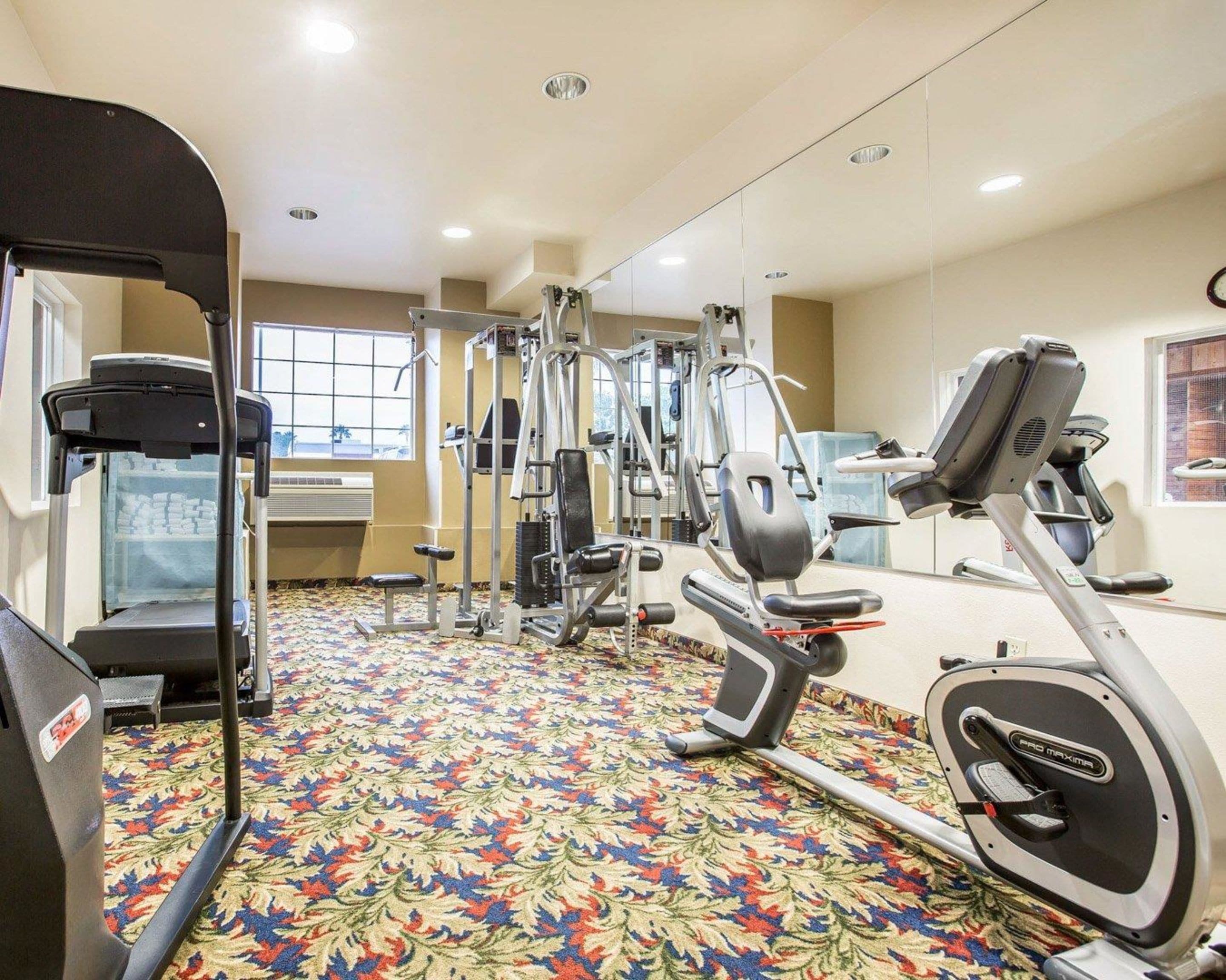 Un gimnasio con equipos de ejercicio variados, como cintas de correr, elípticas y máquinas de pesas.