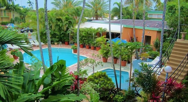 Outdoor pool, pool umbrellas, pool loungers