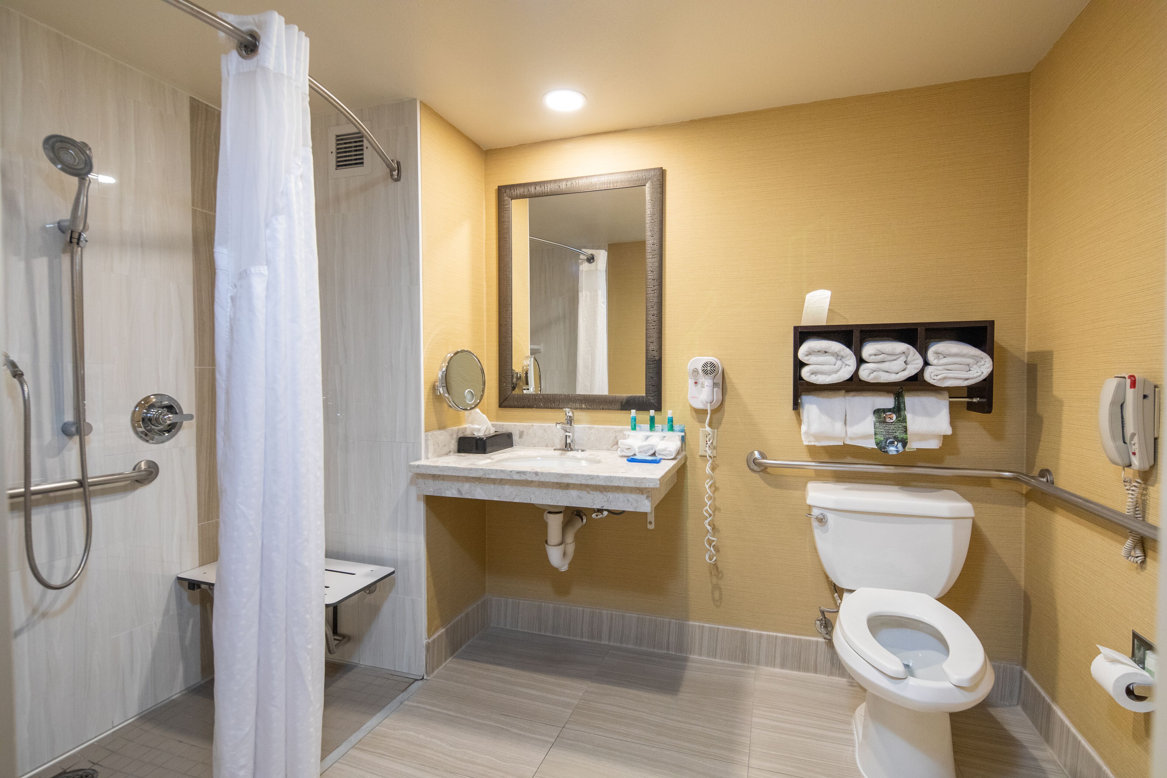 room, 1 king bed, accessible, non smoking (roll-in shower) | bathroom shower