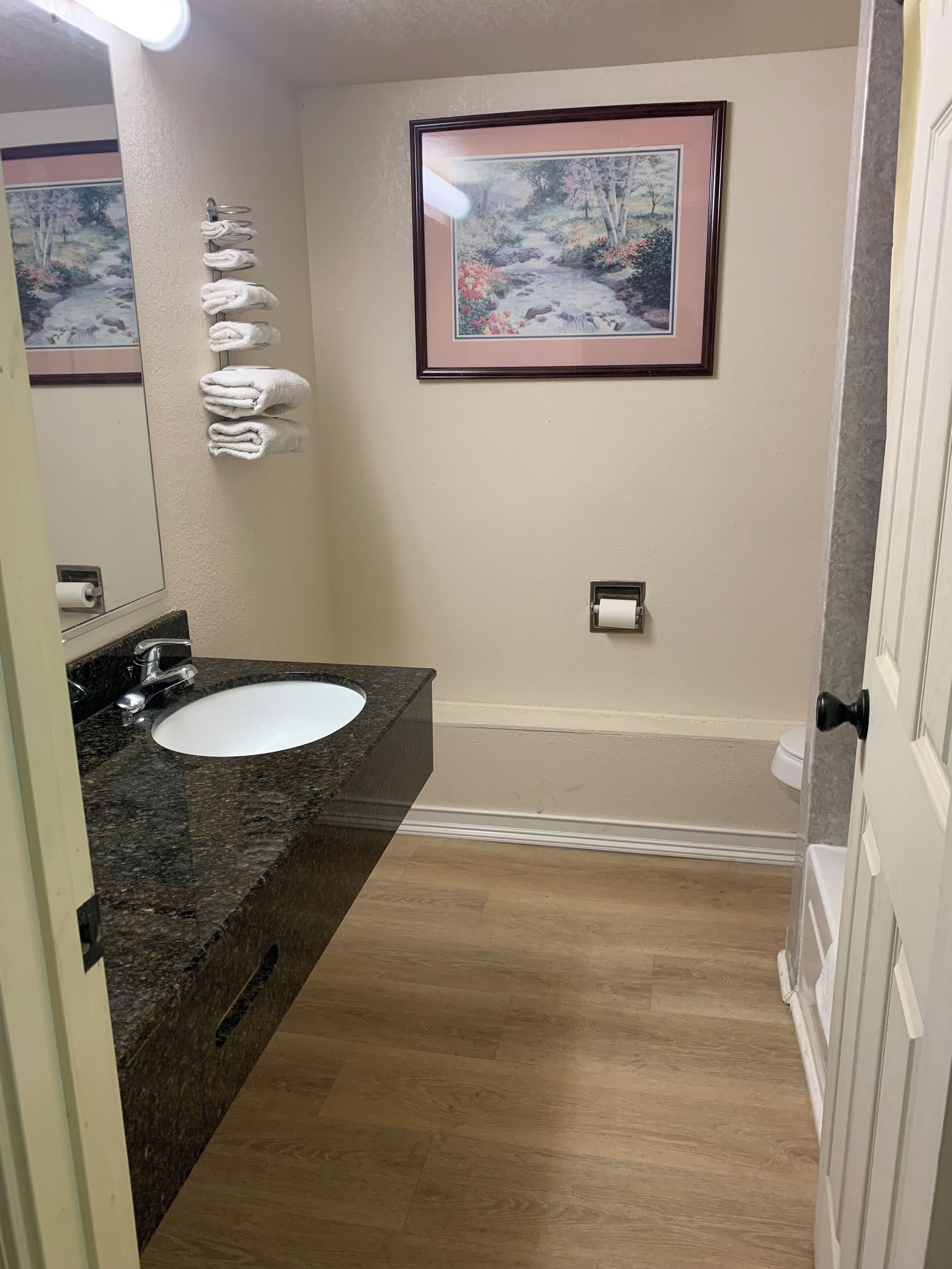 Un baño con lavamanos de encimera de granito, un cuadro en el pared con un paisaje y un perchero con toallas dobladas.
