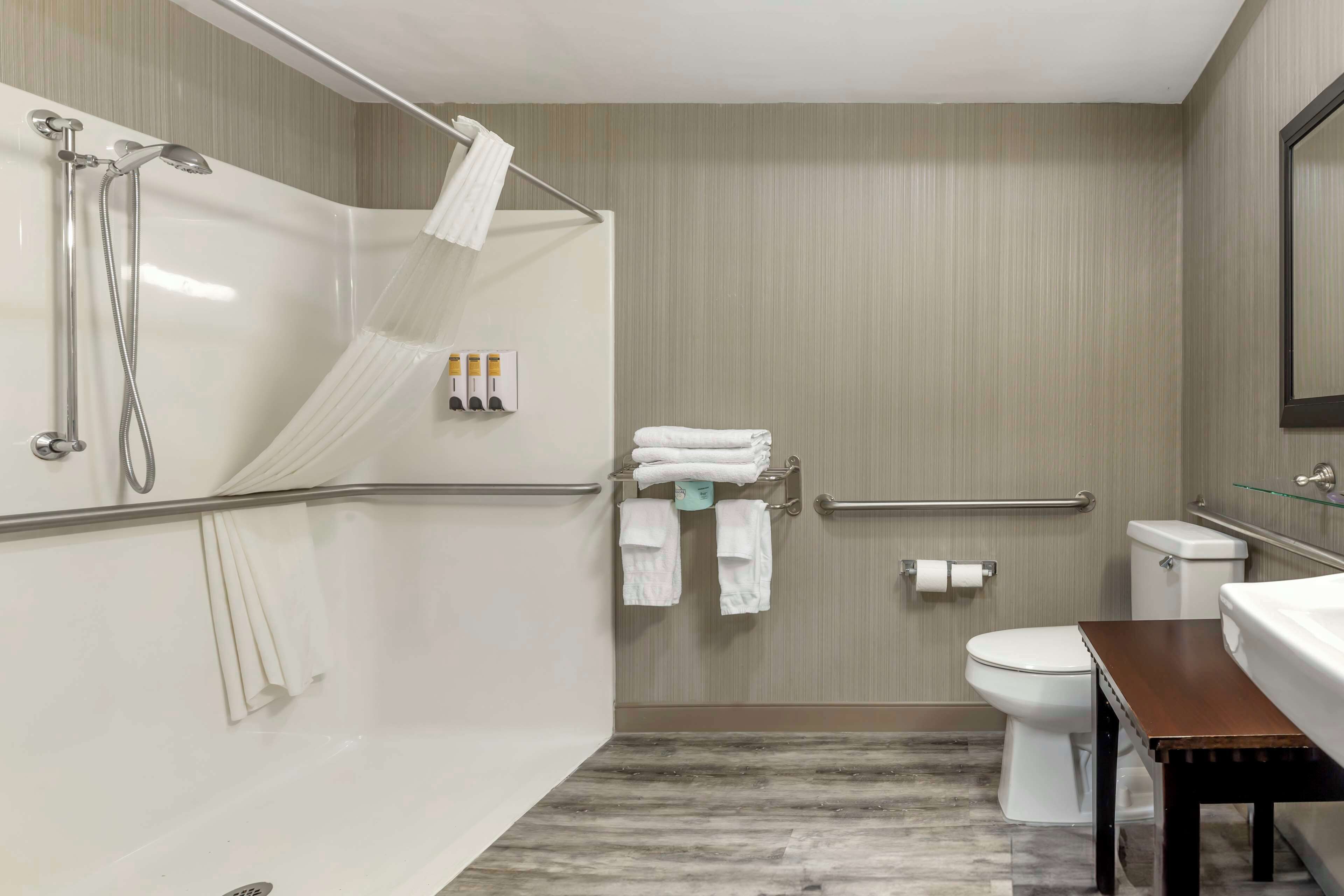 suite, 1 king bed, accessible, refrigerator & microwave (with sofabed) | bathroom | combined shower/bathtub, free toiletries, hair dryer, towels