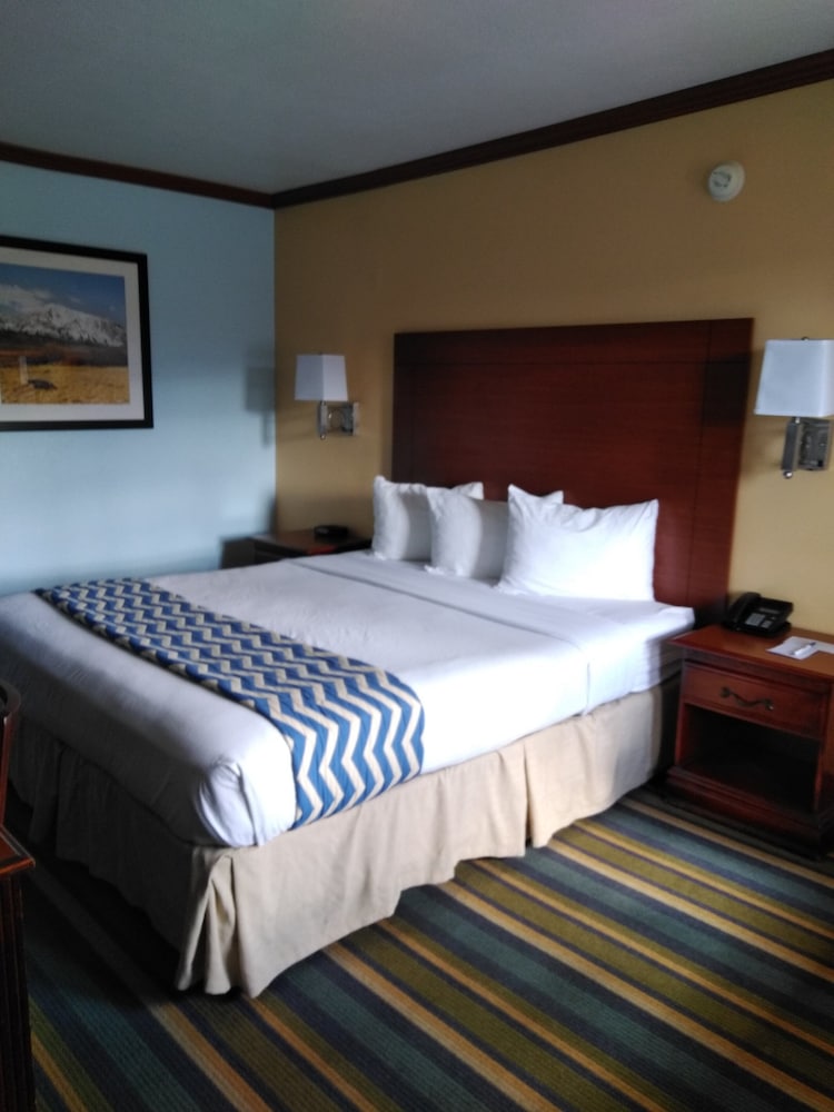 Travelodge by Wyndham Bishop by null