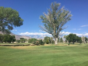 Golf view