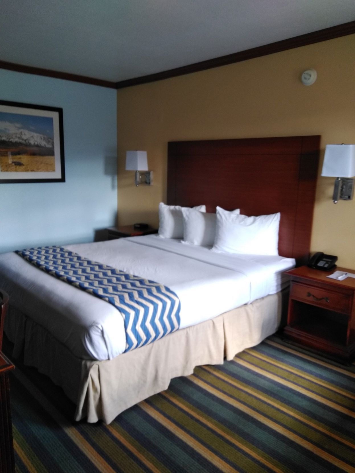 Iron/ironing board, rollaway beds, free WiFi, bed sheets