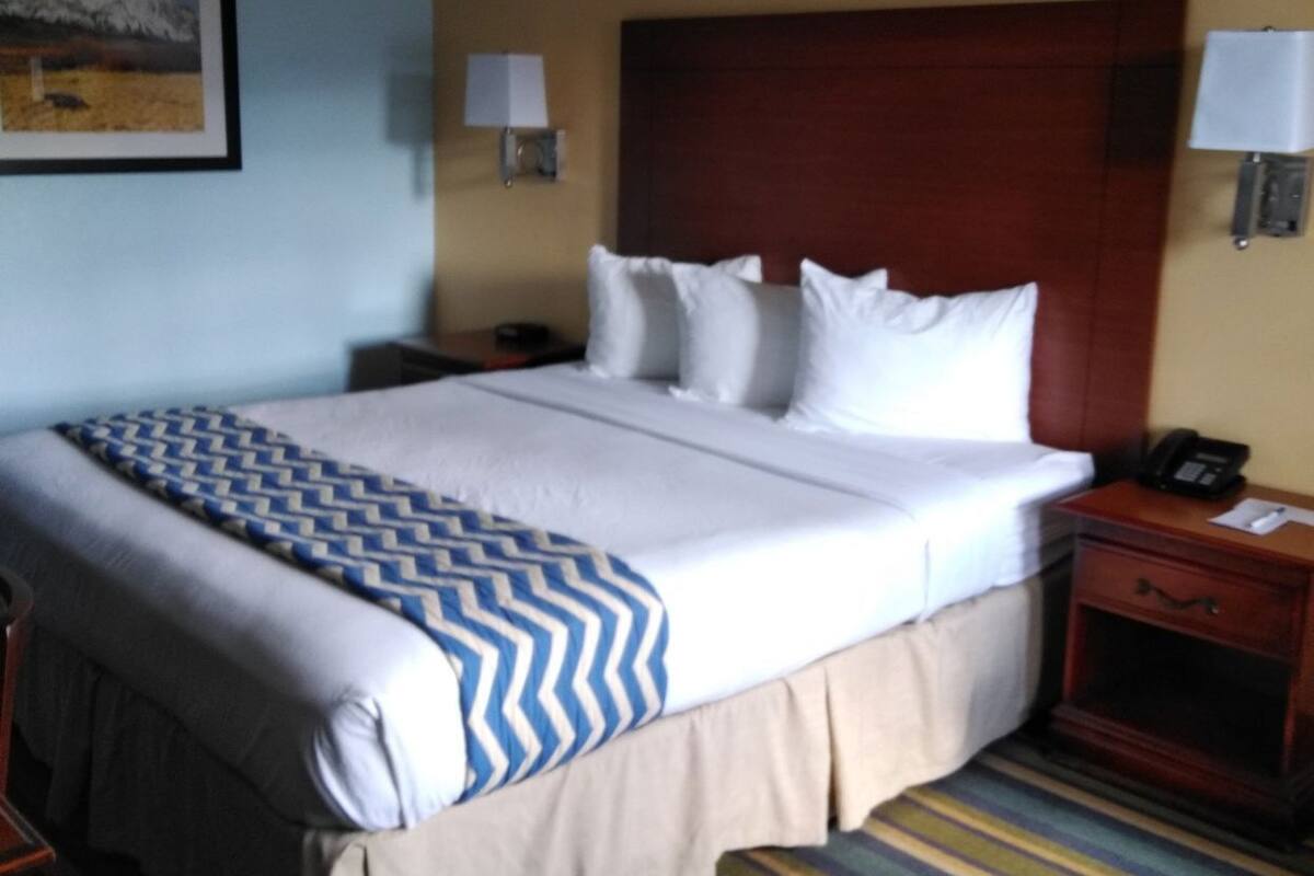 Iron/ironing board, rollaway beds, free WiFi, bed sheets