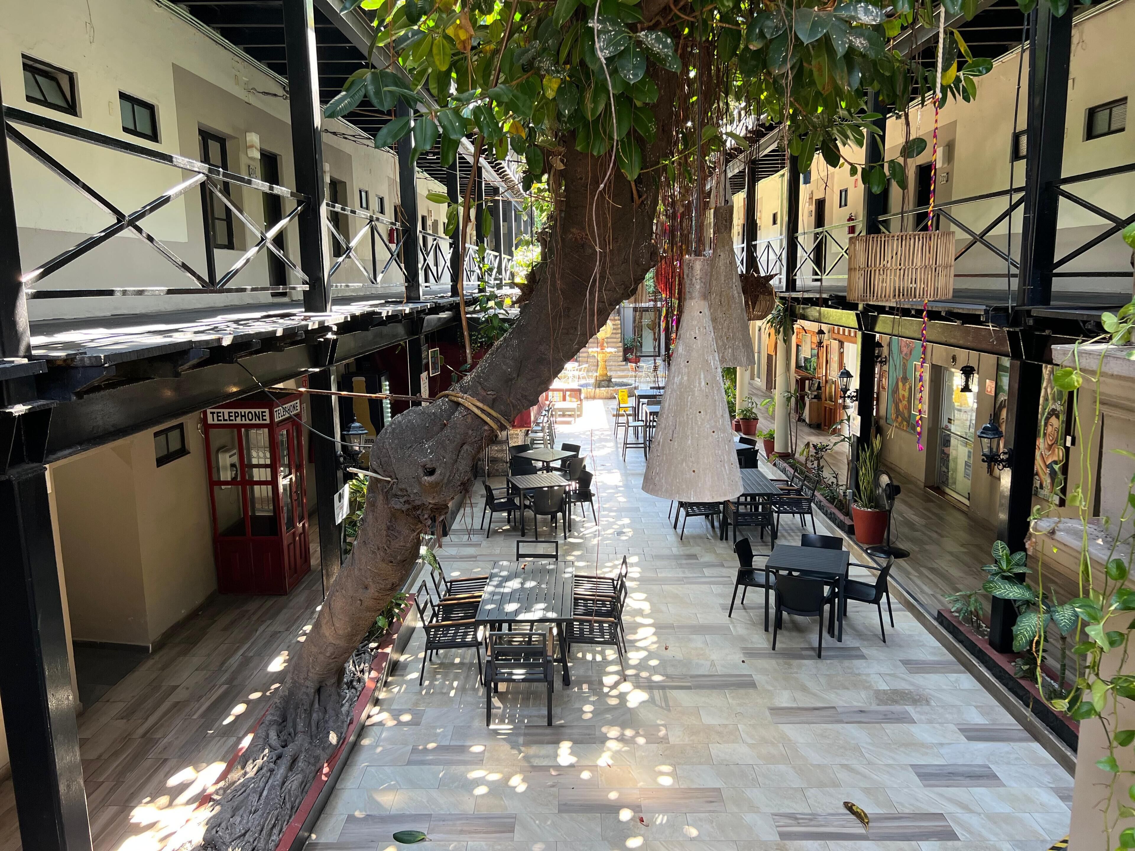 2 间餐厅，供应午餐