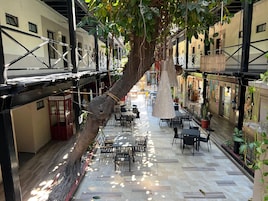 Ein überdachter Außenbereich mit Café, Tischen und Stühlen, umgeben von Gebäuden und einem Baum.