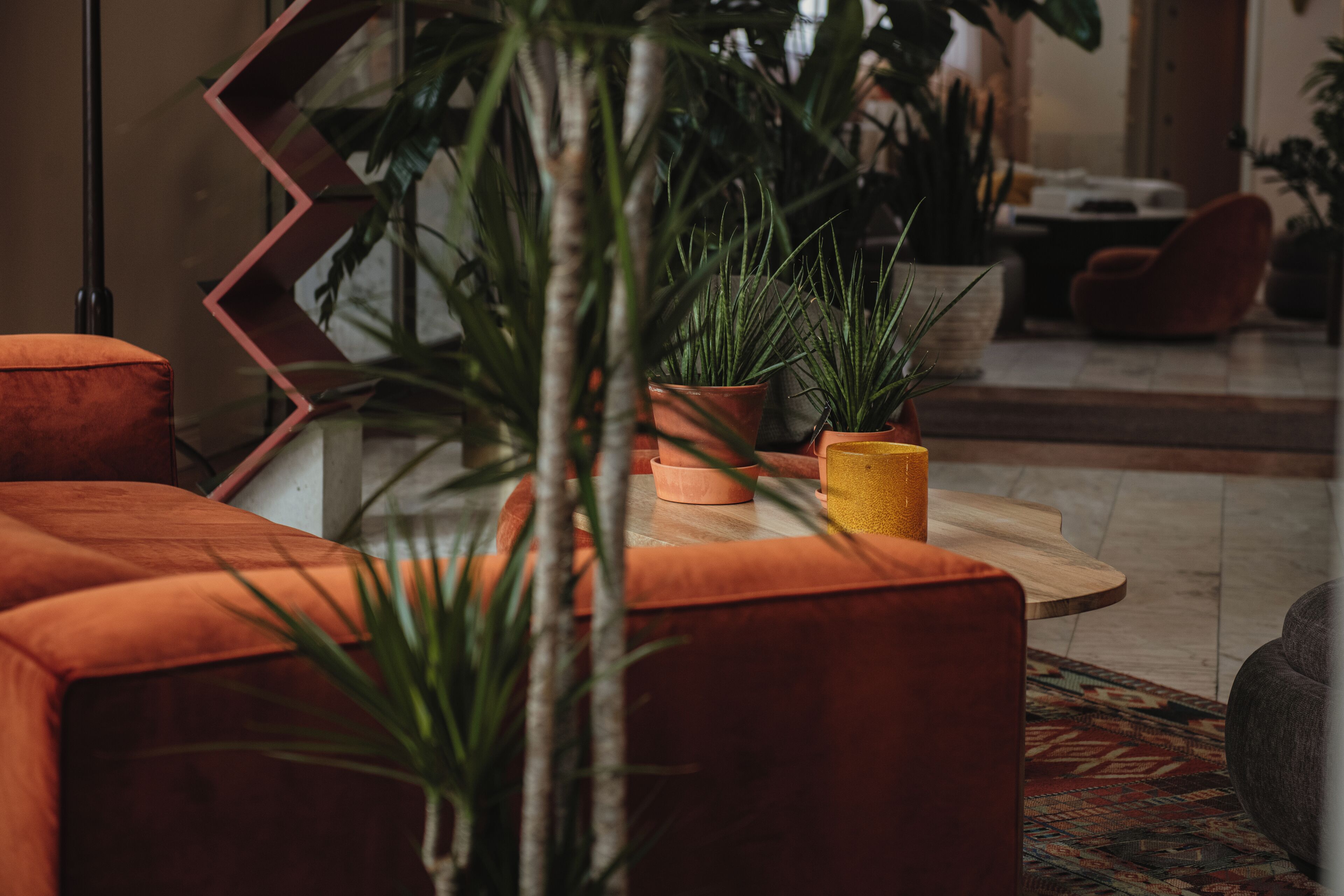 En moderne stue med orange sofaer, et træbord og plantepotteplanter.