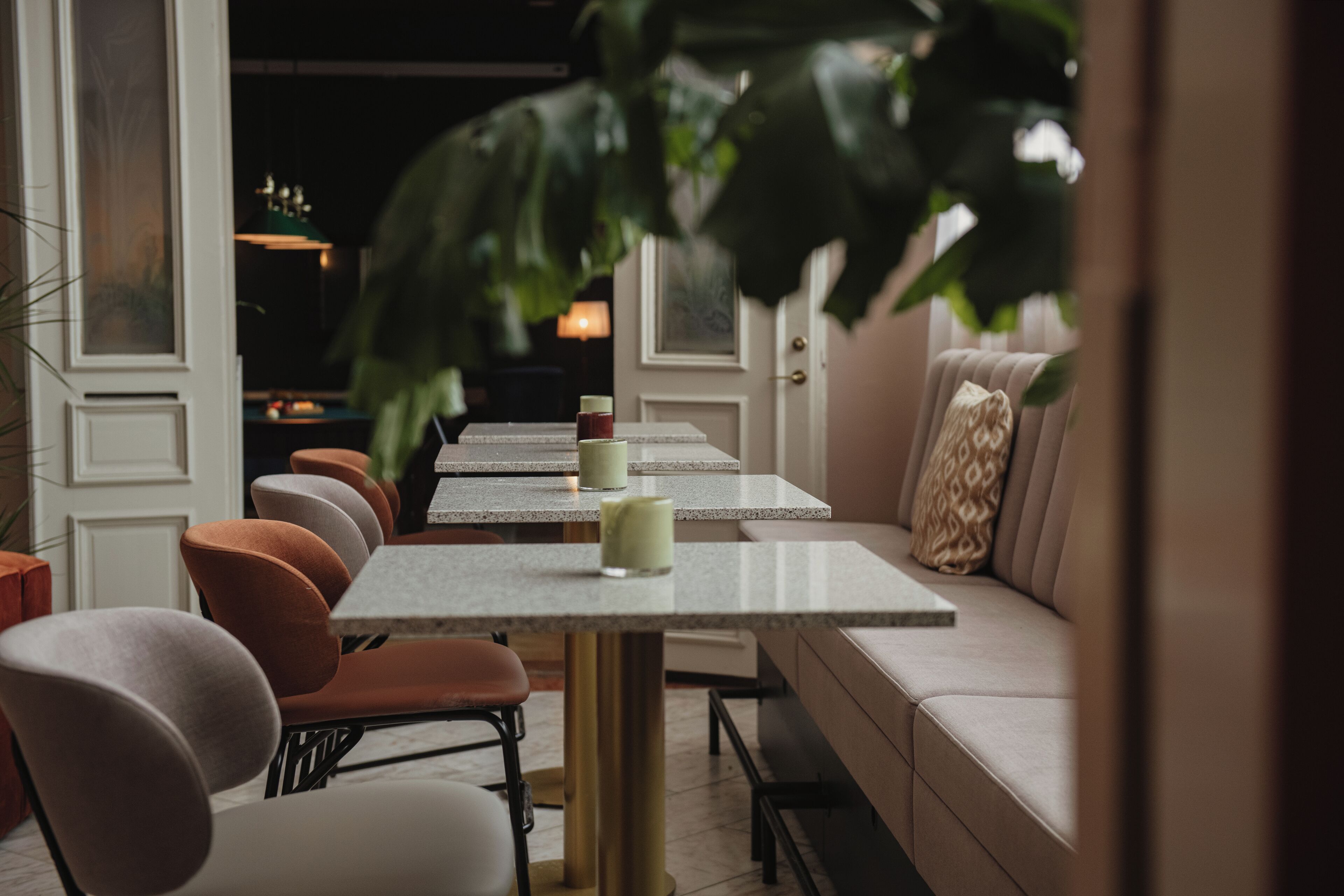 A restaurant with a long counter, cushioned seating, and a large plant in the foreground.