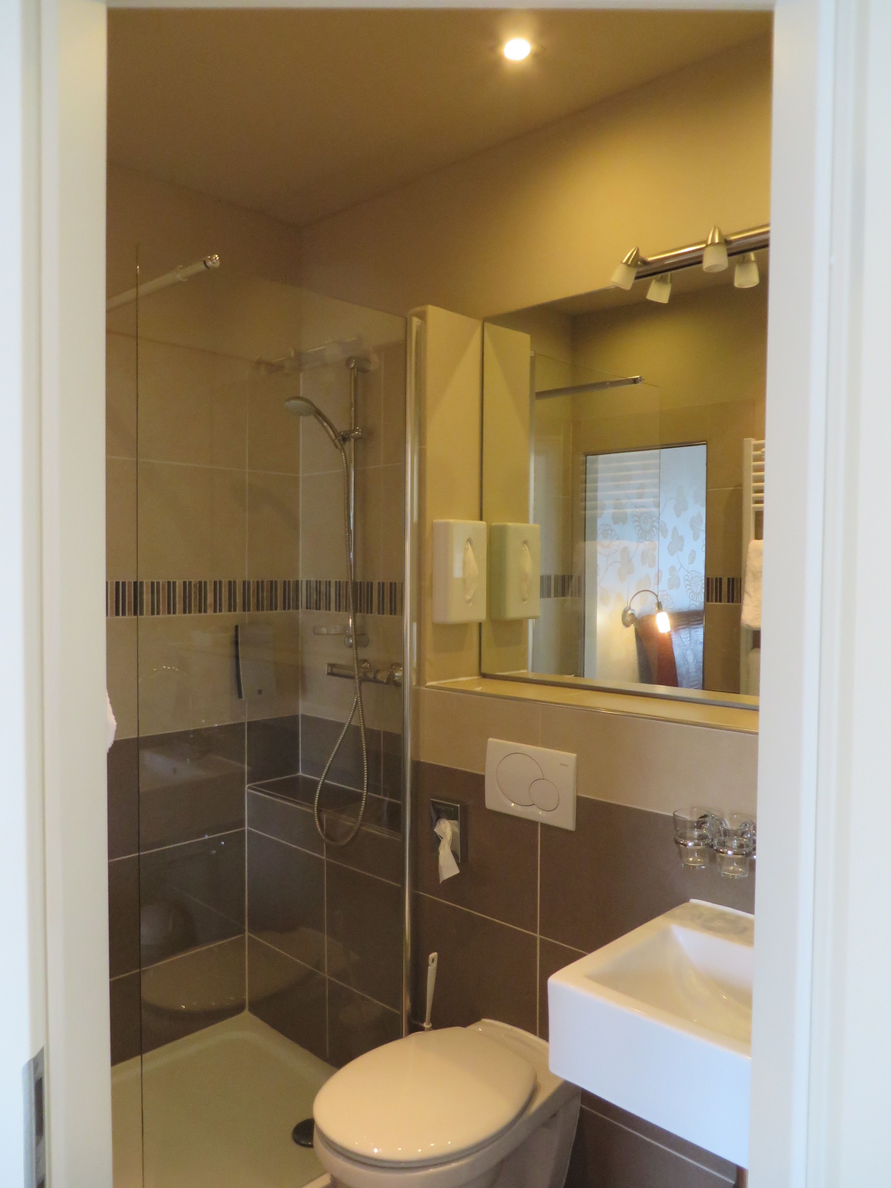 A modern bathroom with a glass-enclosed shower, a white toilet, and a sink with a mirror above it.