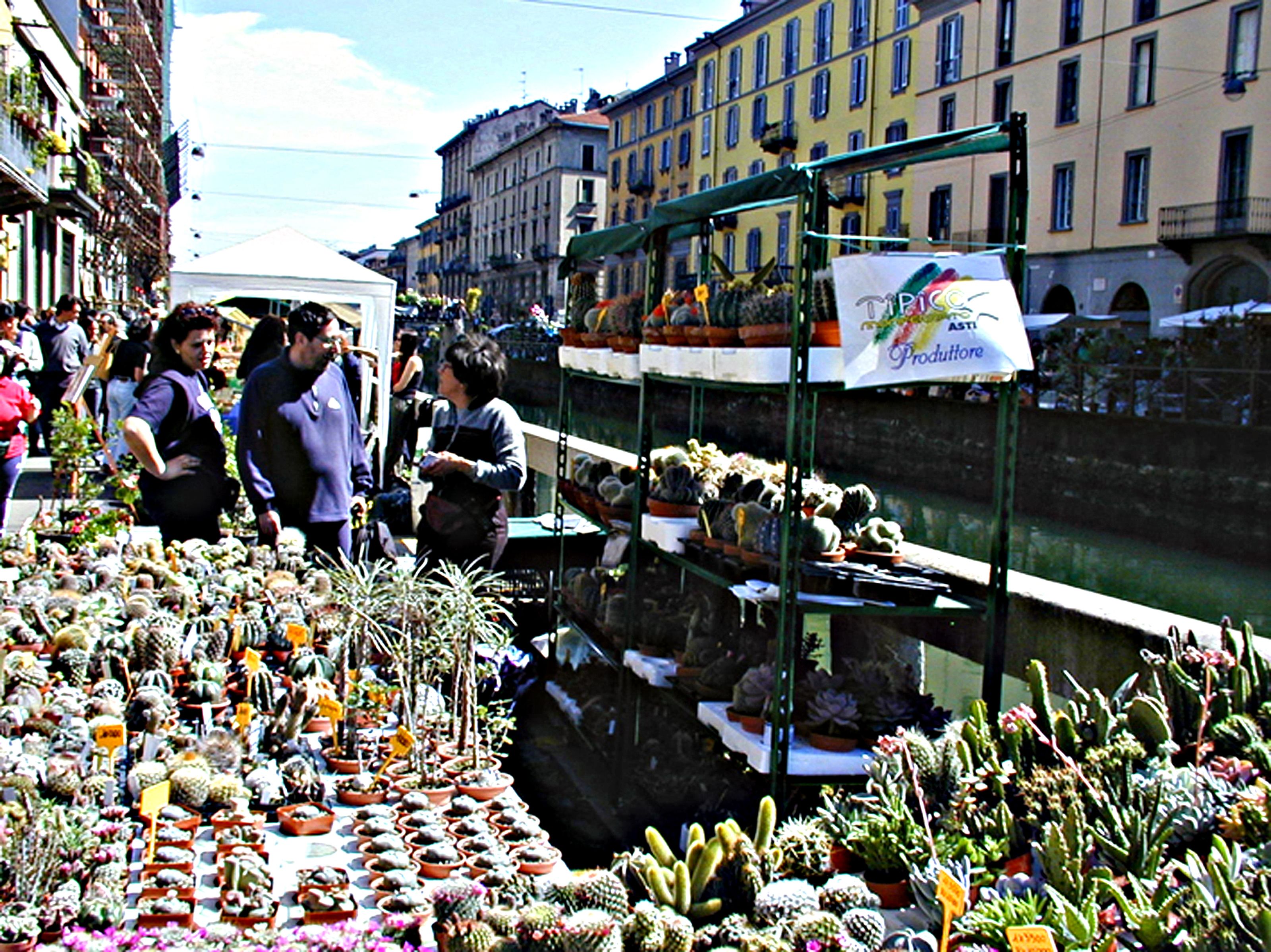Un mercado con diversas plantas en macetas y cactus a la vista.