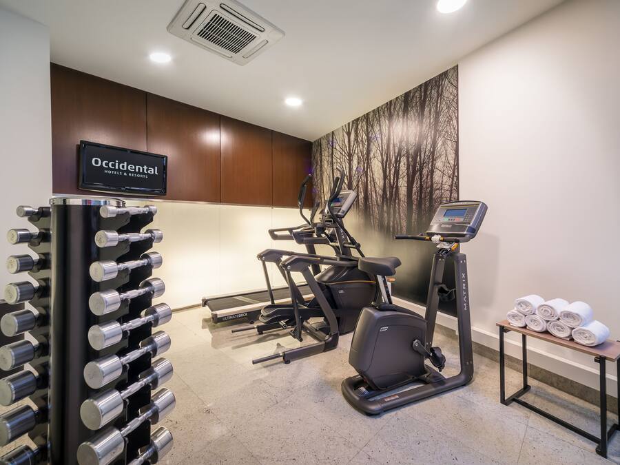 A gym with treadmills, a stationary bike, and a rack of dumbbells.