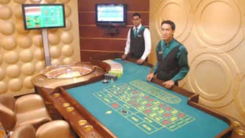 Experience the excitement of the casino gaming area, where a roulette table offers thrilling entertainment.
