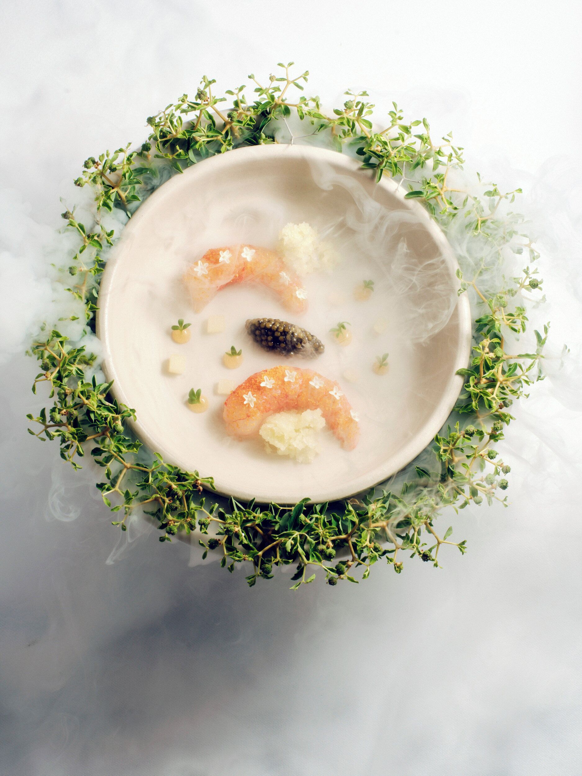 A bowl of food with seafood and a creamy base, surrounded by green herbs.
