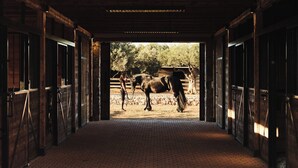 A stable with a horse and a person. - The Margi (Vari-Voula-Vouliagmeni)