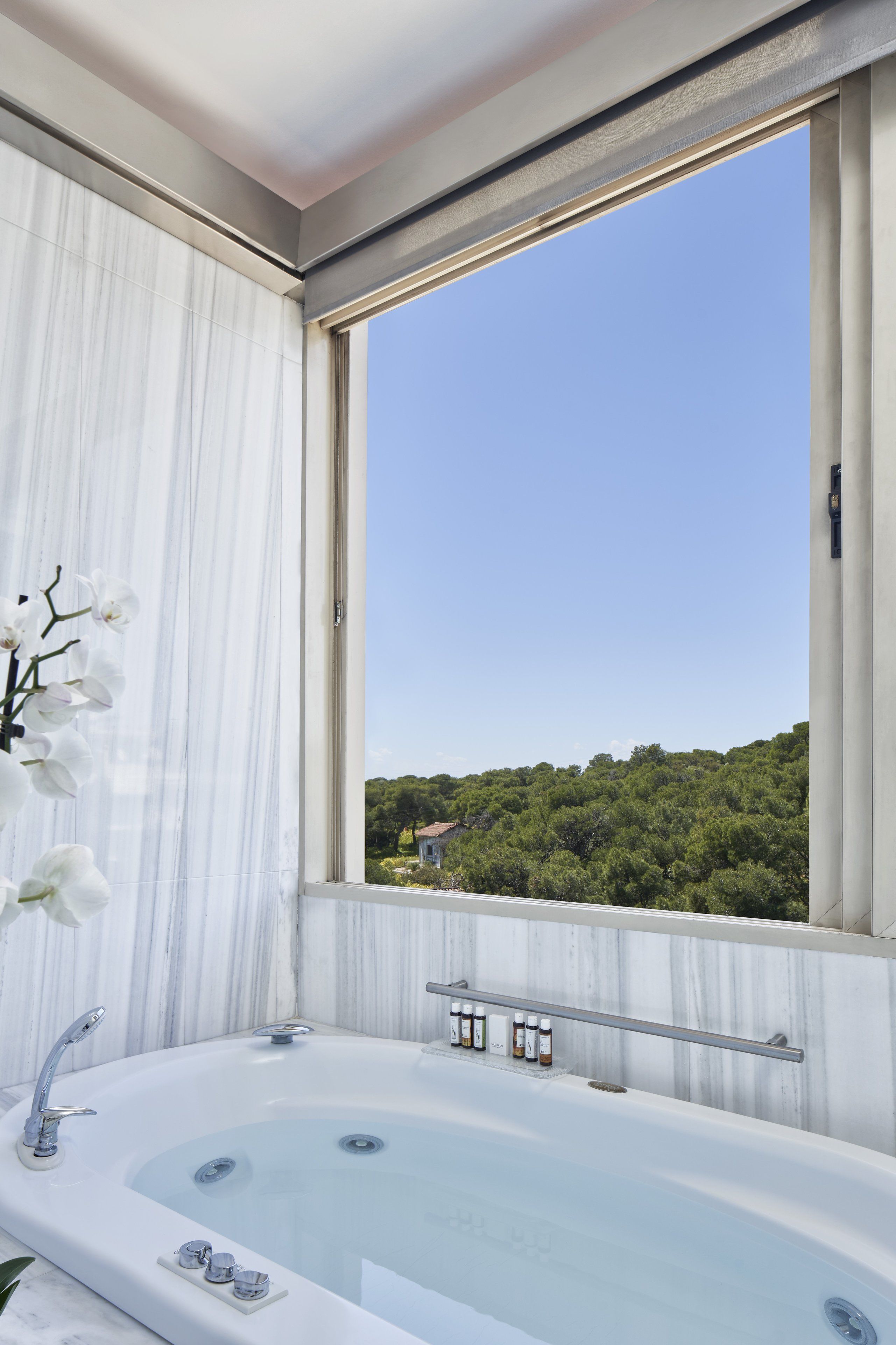 suite (vip) | 2 bedrooms, minibar, in-room safe, laptop workspace