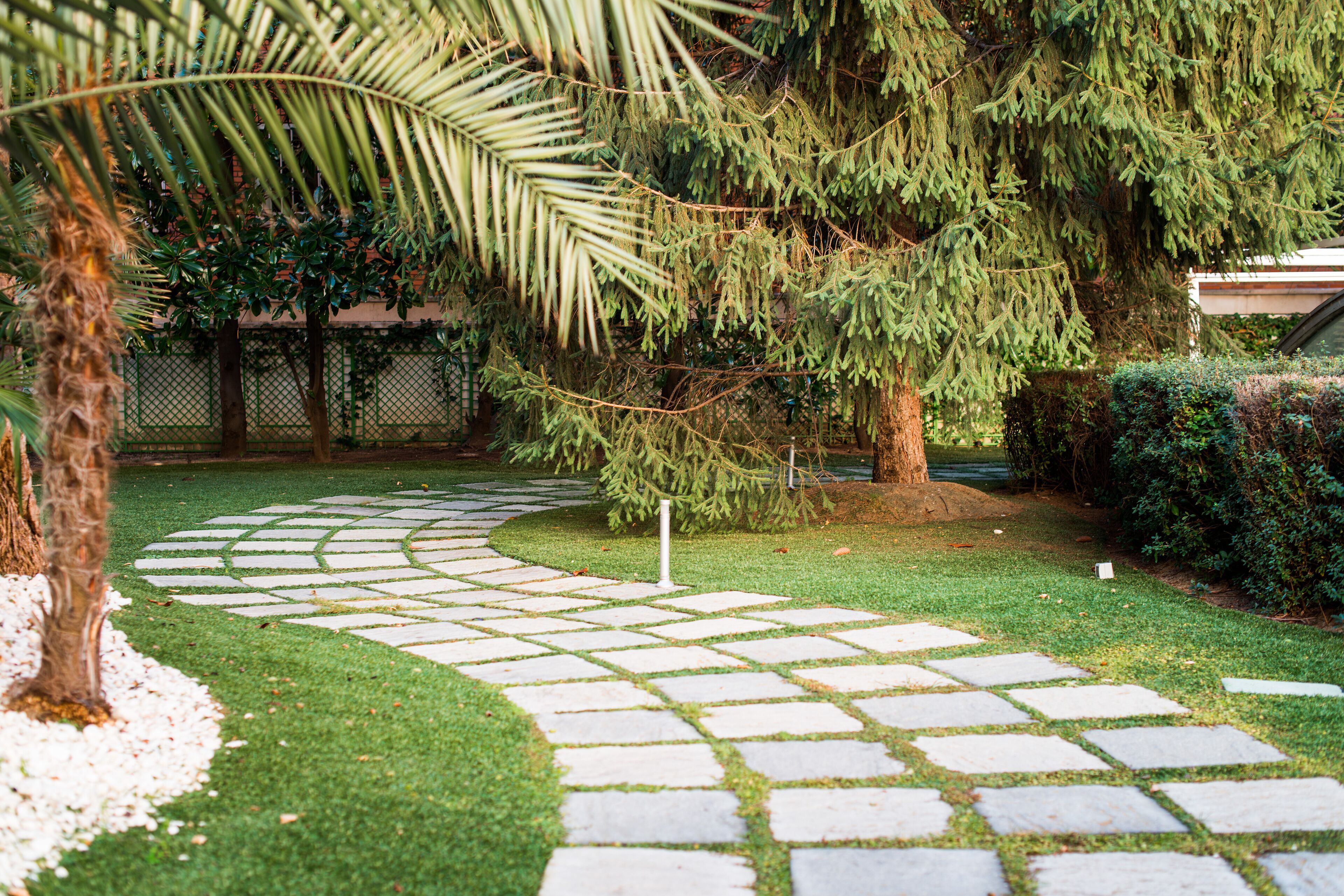 Un jardín con un camino de piedra, una palmera y un pino.