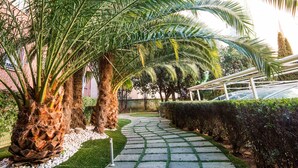 Un camino de piedra bordeado de palmeras y un seto, que conduce a un edificio.