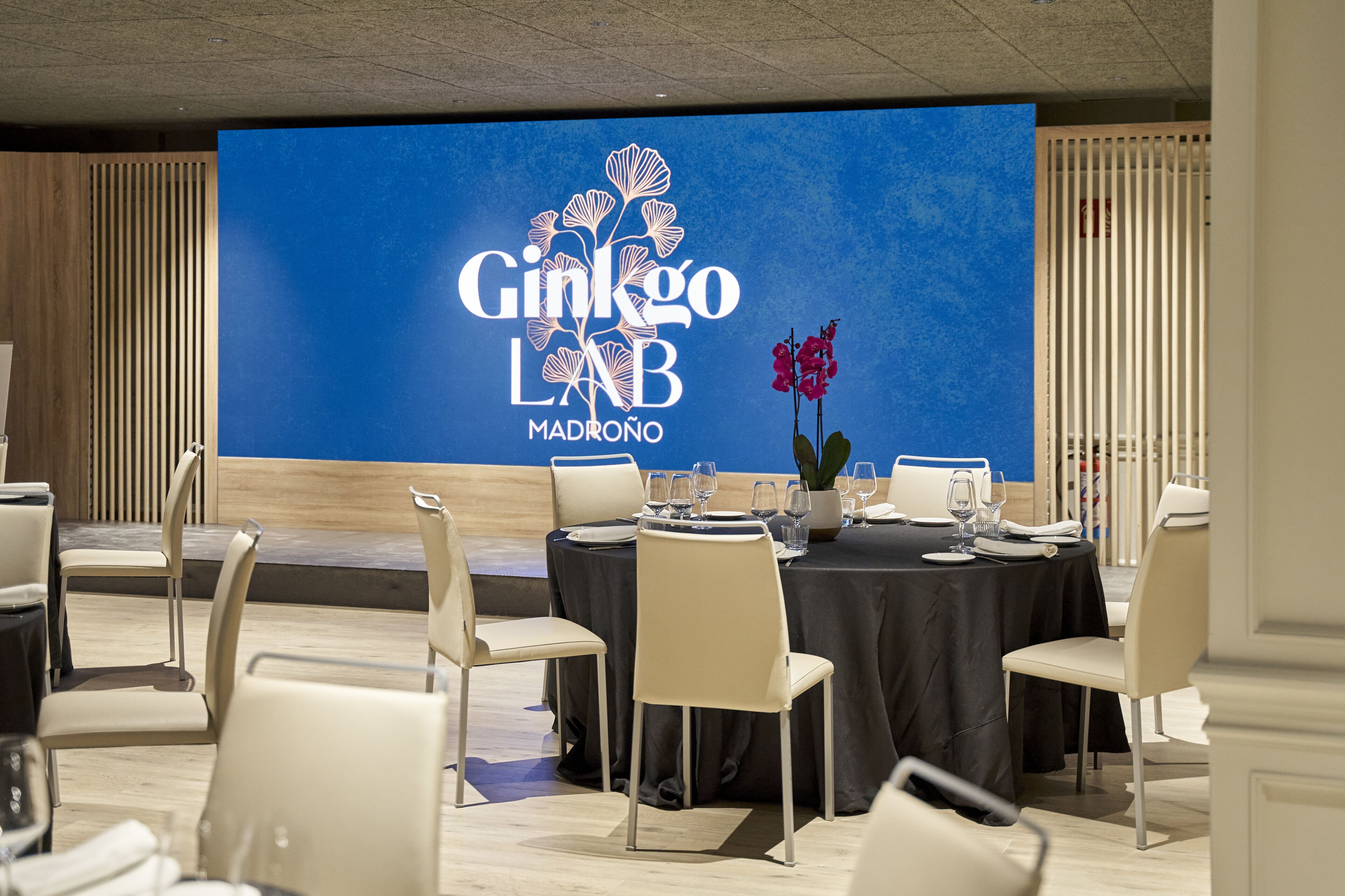 Une salle de conférence dotée d’un grand écran affichant le texte « Ginkgo LAB MADRÓNIO ». Des tables sont disposées, accompagnées de chaises et de verres.