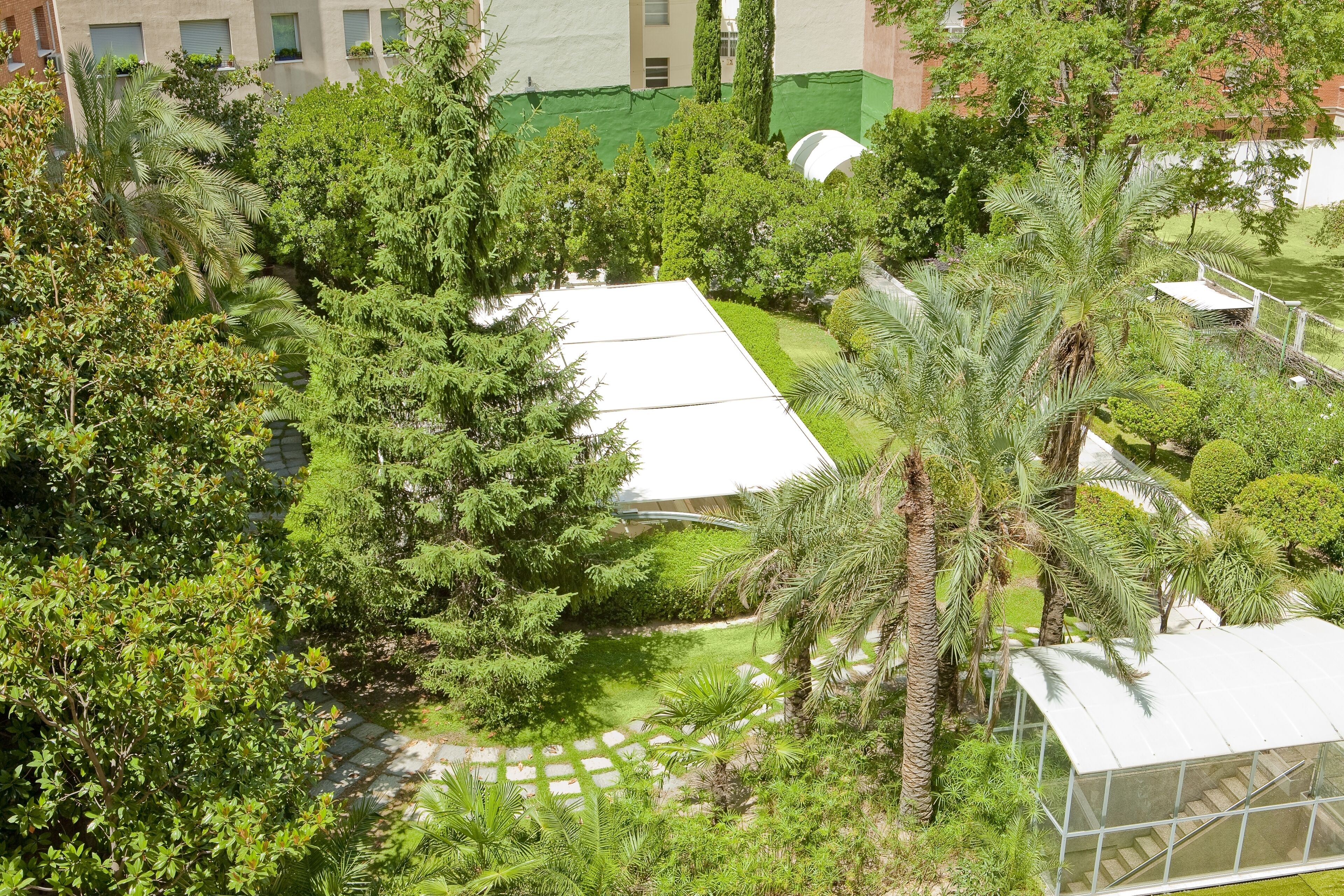 Une vue aérienne d’un jardin luxuriant, avec une serre en verre, entouré d’un feuillage dense et traversé par un chemin dégagé.