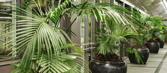 The Mandala Suites Berlin