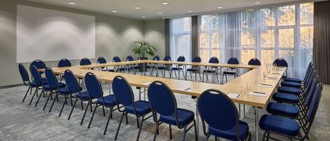 A conference room with a long table and blue chairs, large windows, and a plant.