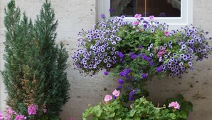 Un letrero de hotel, una ventana con cortinas y dos macetas con flores.