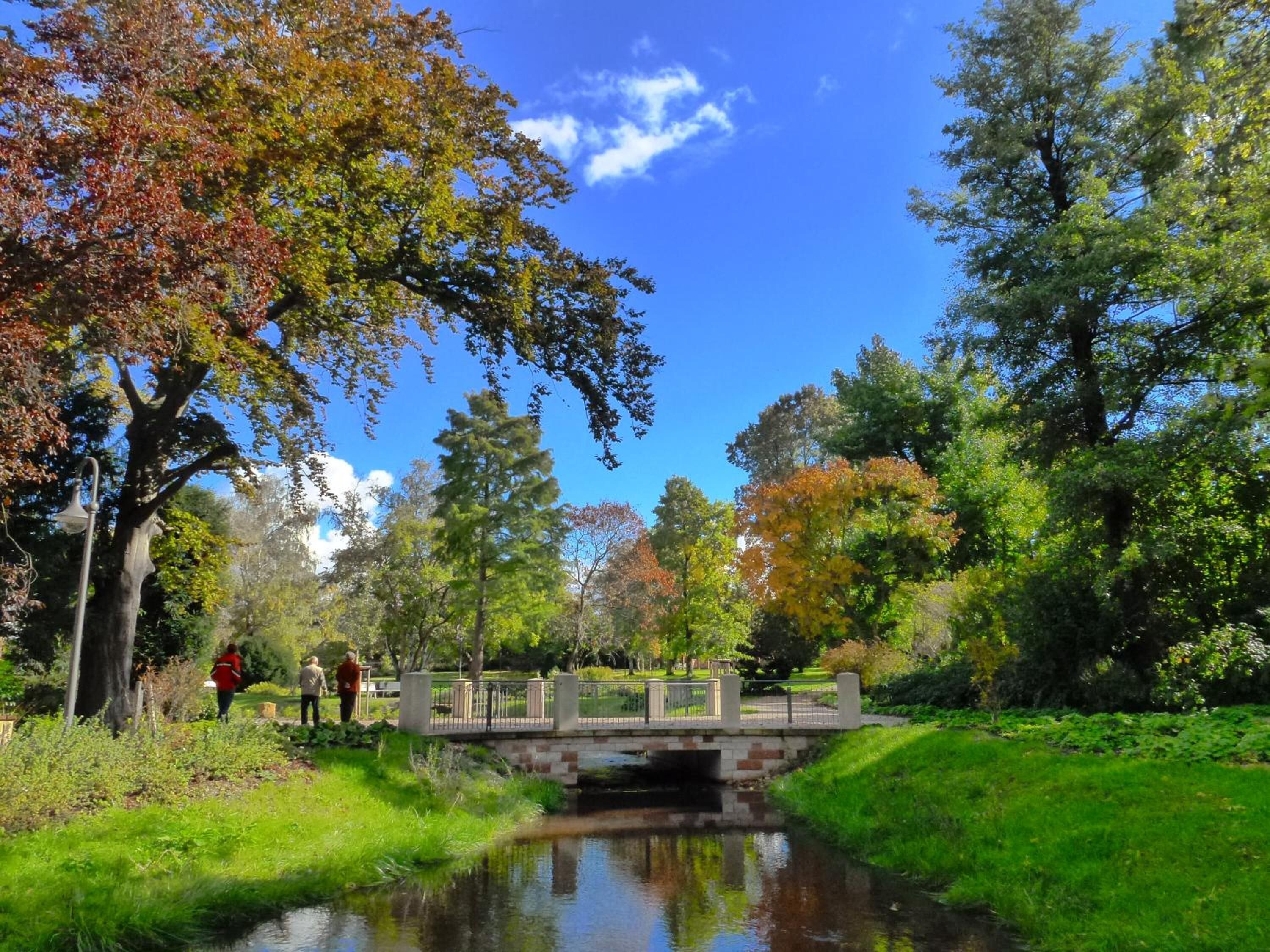 Een park met een kleine brug over een waterkanaal, omringd door bomen en begroeiing.