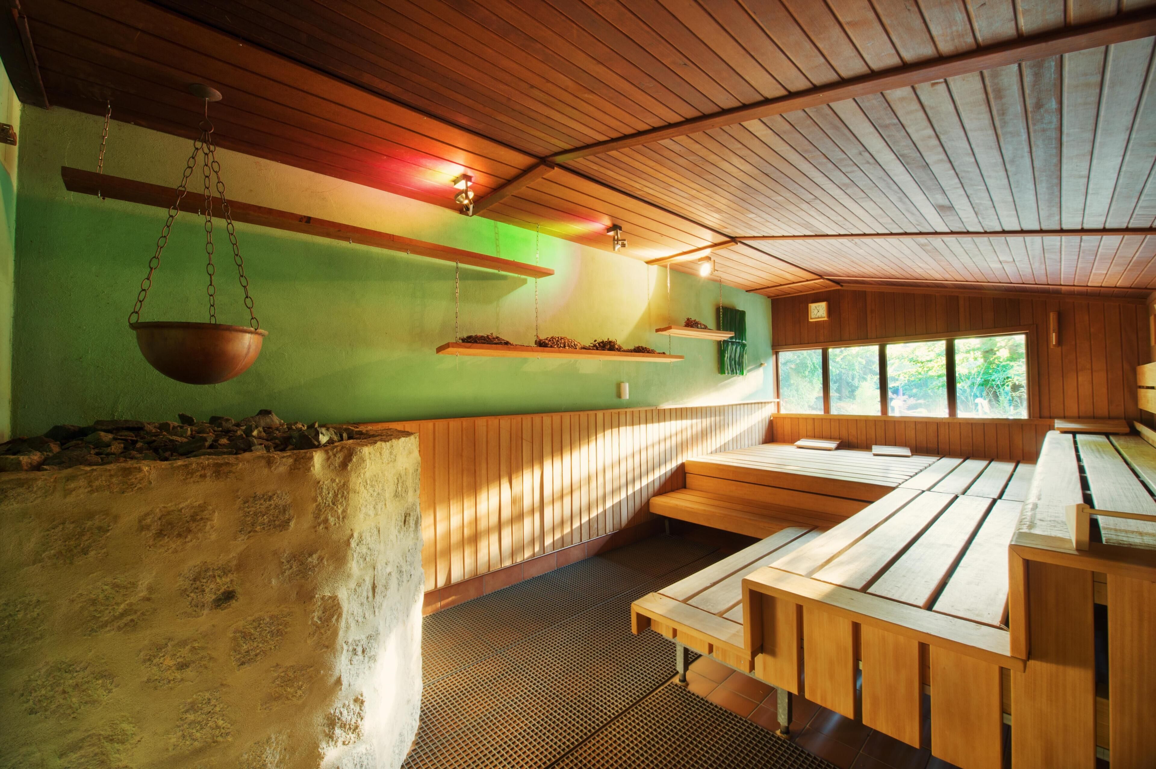 Una sauna con bancos de madera, estantes colgantes con plantas y un ventanal que deja entrar luz natural.