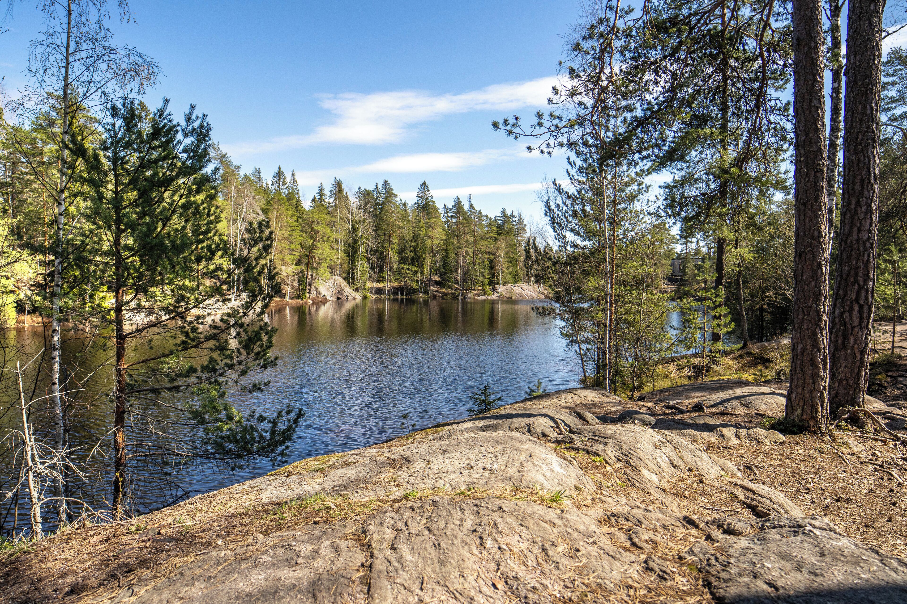 Photo - Hotel Korpilampi