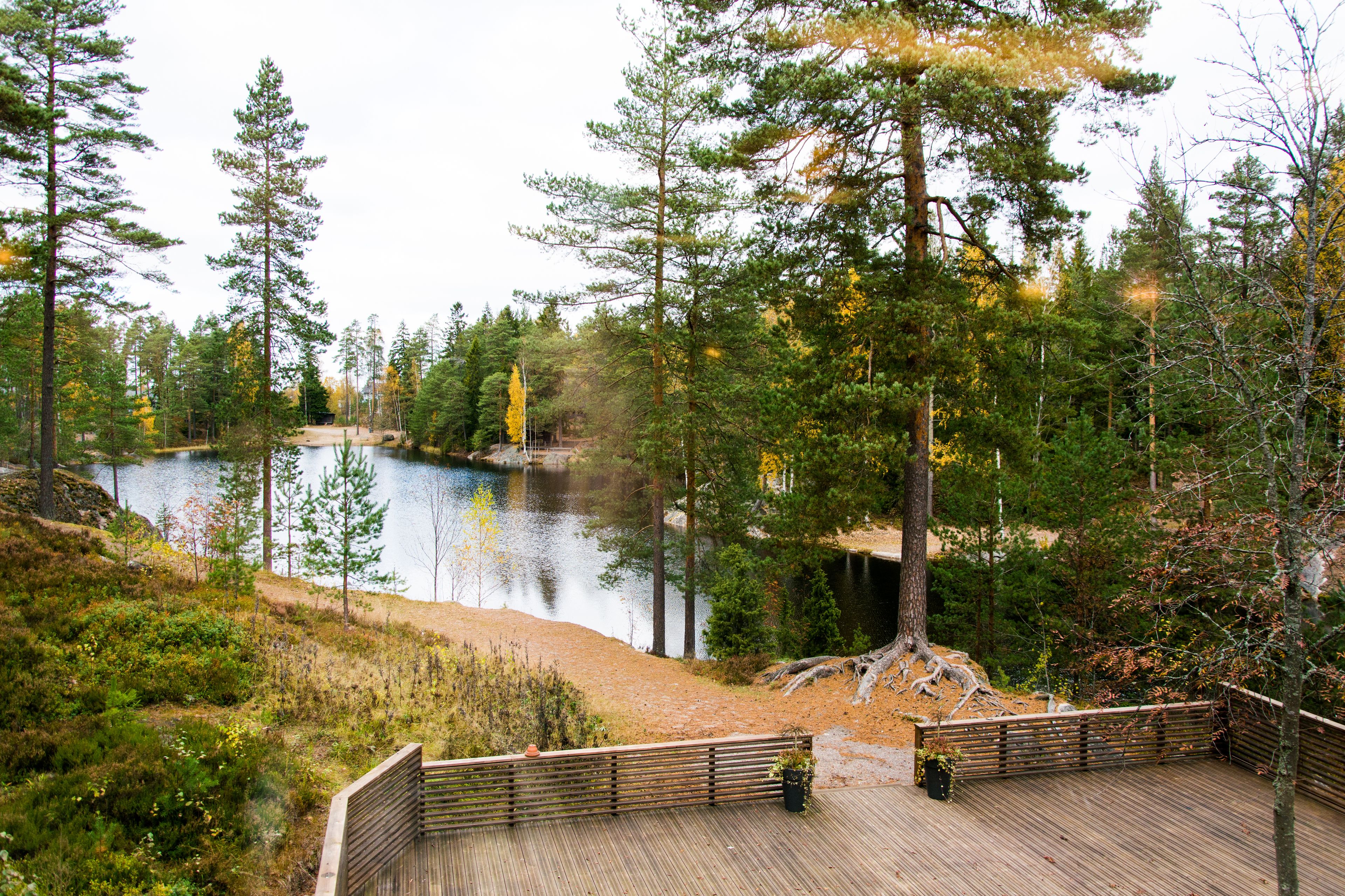 A wooden deck overlooking a lake surrounded by trees.