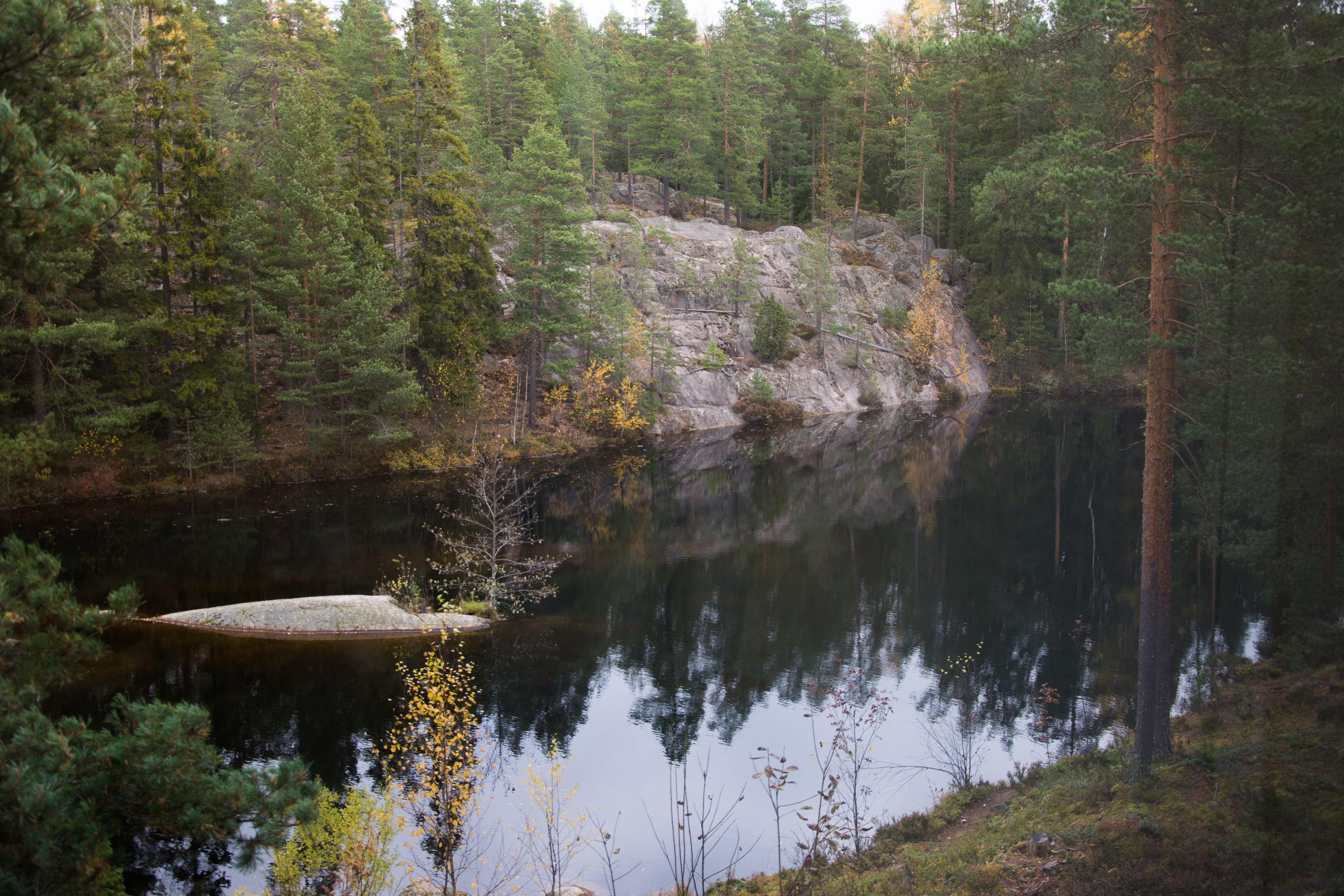 Un lac paisible, entouré d’une forêt dense et d’un paysage rocheux.