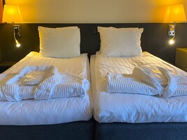 Comfort Twin Room, Lake View