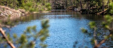 Un lago tranquilo rodeado de un bosque denso.