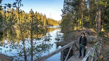 A wooden bridge over a calm lake surrounded by dense forest.