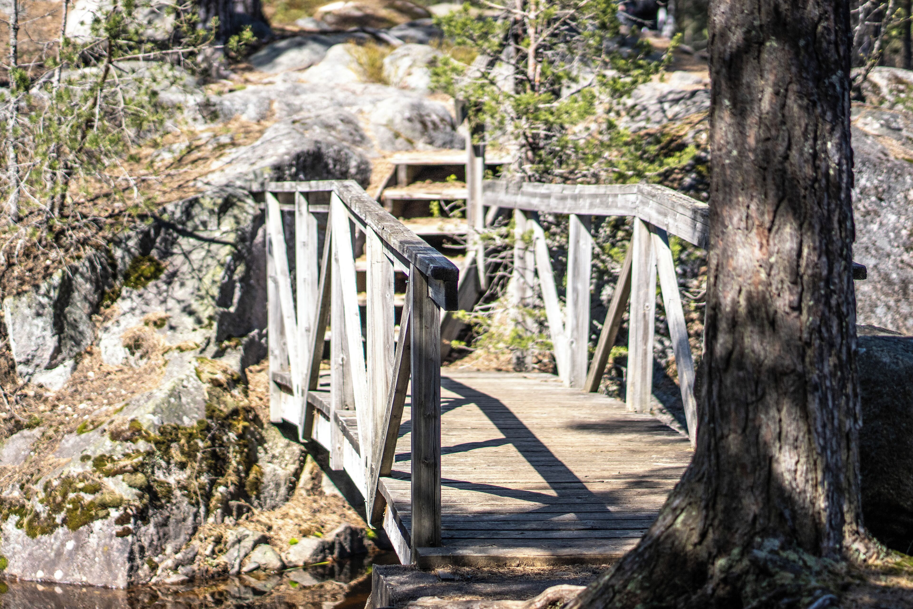 A wooden bridge with railings, surrounded by rocks and sparse vegetation.
