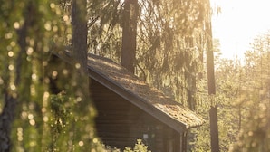 Mökki, joka on rakennettu maalaismaisessa tyylissä ja sijaitsee tiheän metsän ympäröimänä.