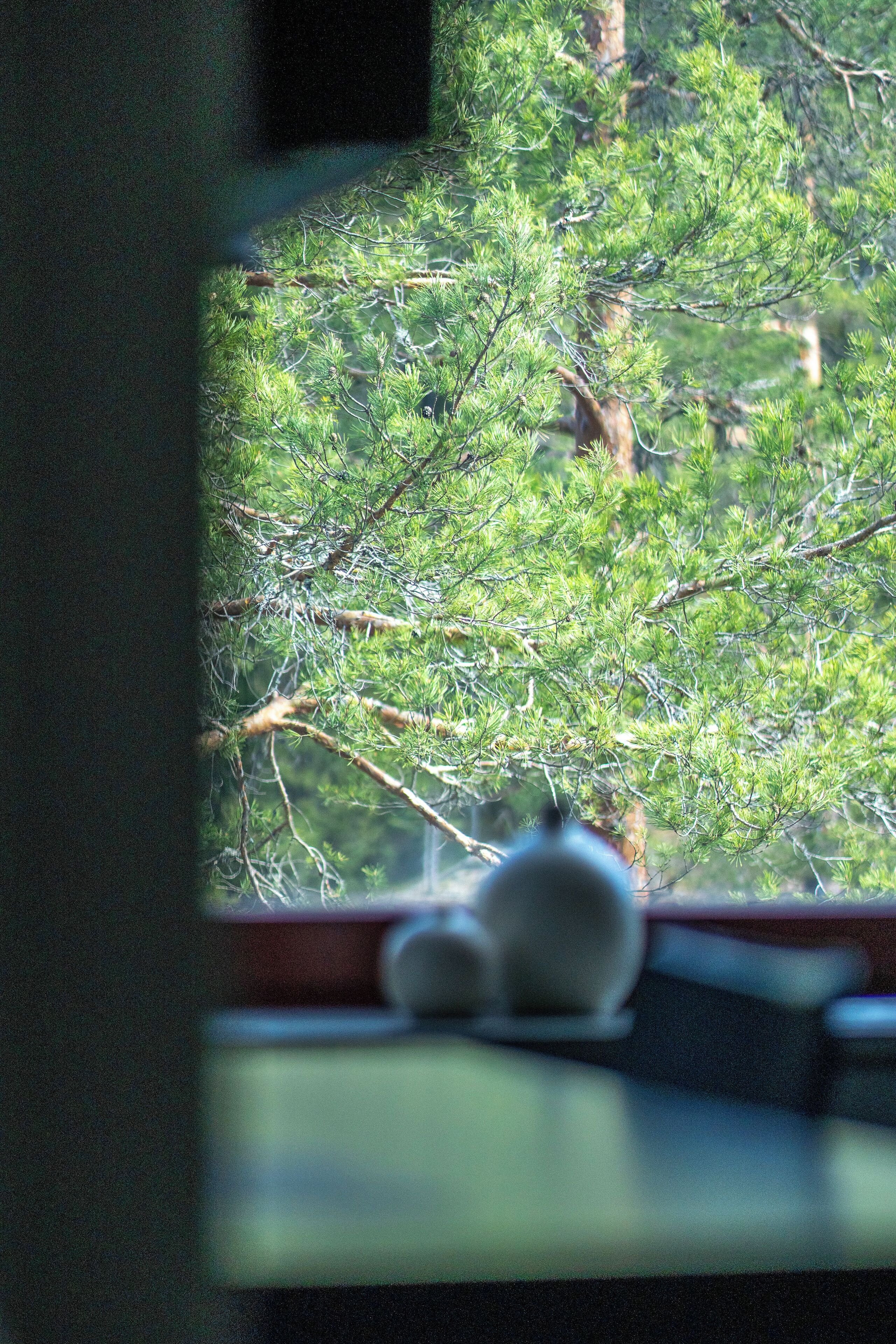 A view through a window with a blurred foreground object, likely a cup, and a background of dense green foliage.