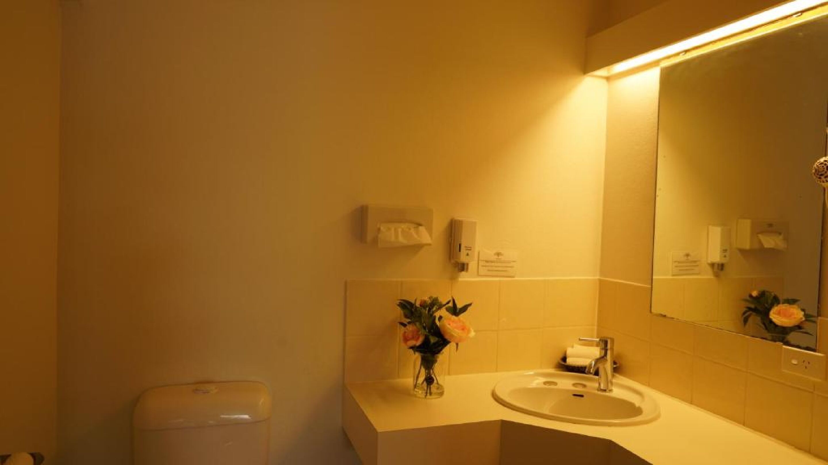 Un baño con lavamanos, espejo y un cesto de basura.