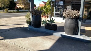 A reception area with potted plants and a clear view of the entrance to a building. - Country Motor Inn Singleton (Singleton)
