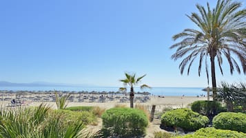 On the beach