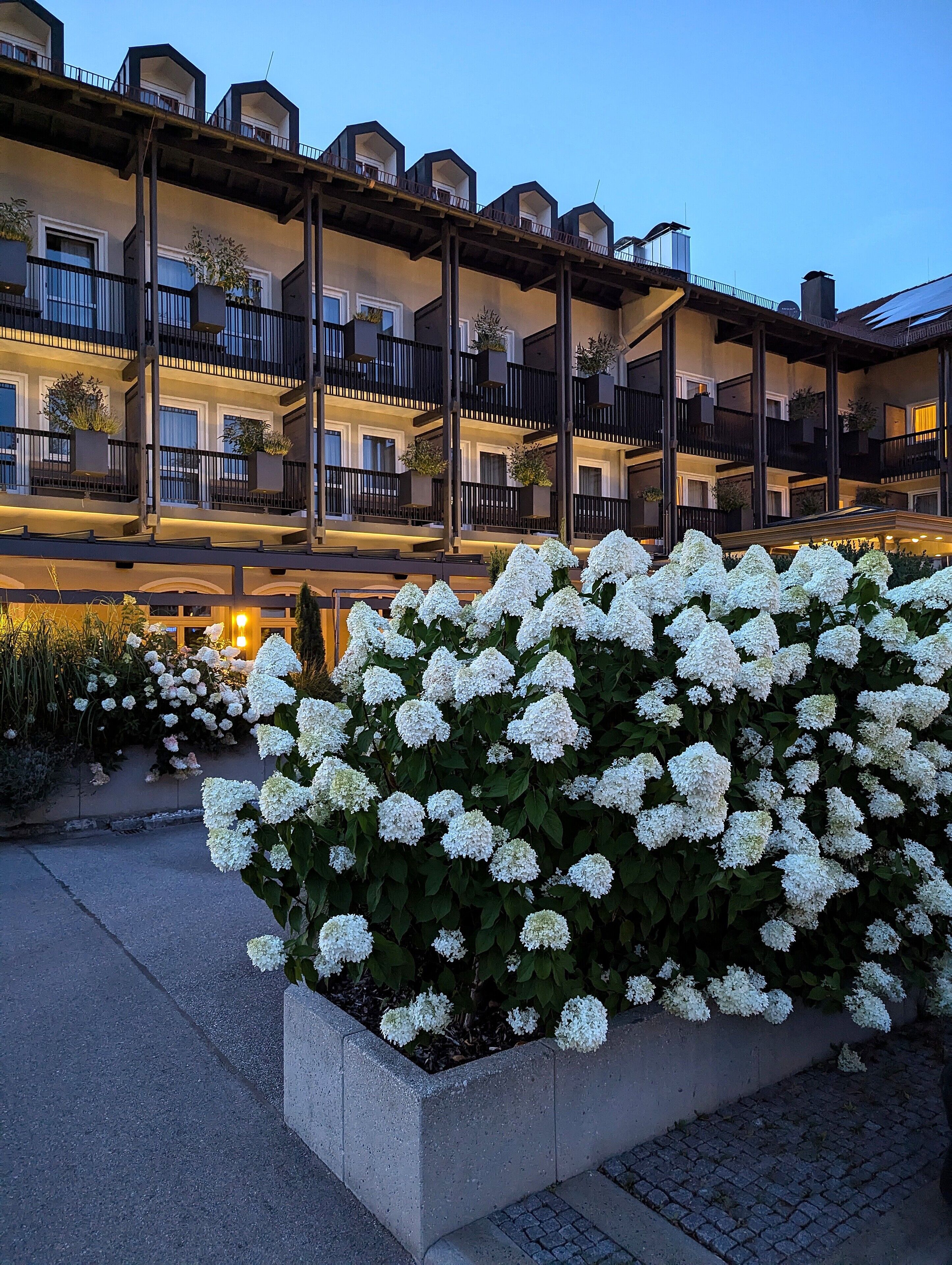 Foto - Bauer Hotel und Restaurant